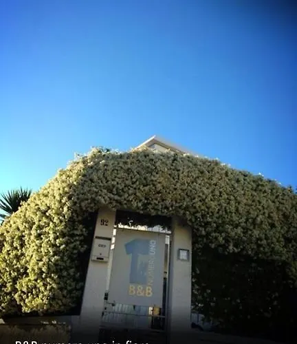 Numero Uno Bed & Breakfast Bisceglie